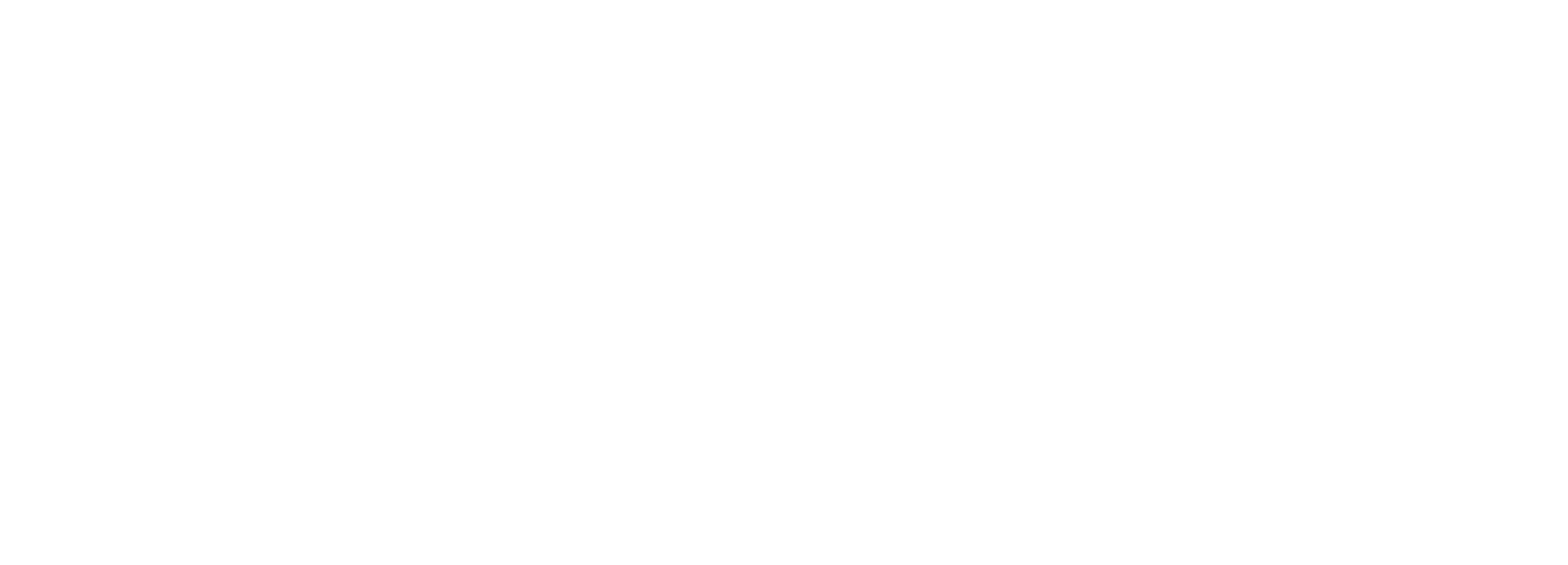 Leet Wolf Technologies